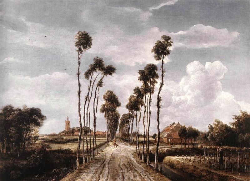 HOBBEMA, Meyndert The Alley at Middelharnis g oil painting picture